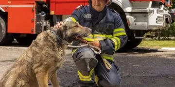 Pompierii susțin adopția câinilor fără stăpân. Campanie pentru o comunitate mai responsabilă și mai empatică