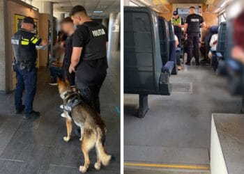 Acțiune de amploare! Peste 2.200 de persoane legitimate și aproape 100.000 de lei în amenzi