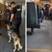 Acțiune de amploare! Peste 2.200 de persoane legitimate și aproape 100.000 de lei în amenzi