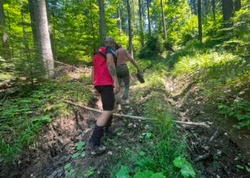 Bărbat dispărut în munți găsit în viață de salvamontiști. Salvamont contestă versiunea altor instituții