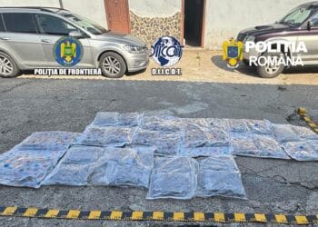 Captură de 38 de kilograme de canabis! Drogurile erau ascunse în plafonul unei autoutilitare