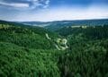 Guvernul a aprobat Strategia pentru biodiversitate. Adoptarea documentului reprezintă un jalon important din PNRR și deschide calea unor investiții în protecția naturii și refacerea ecosistemelor
