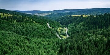 Guvernul a aprobat Strategia pentru biodiversitate. Adoptarea documentului reprezintă un jalon important din PNRR și deschide calea unor investiții în protecția naturii și refacerea ecosistemelor