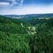 Guvernul a aprobat Strategia pentru biodiversitate. Adoptarea documentului reprezintă un jalon important din PNRR și deschide calea unor investiții în protecția naturii și refacerea ecosistemelor