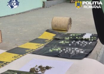 Colet cu canabis din Slovacia, ridicat de un bărbat! DIICOT a descoperit droguri ascunse și sub o movilă de gunoaie