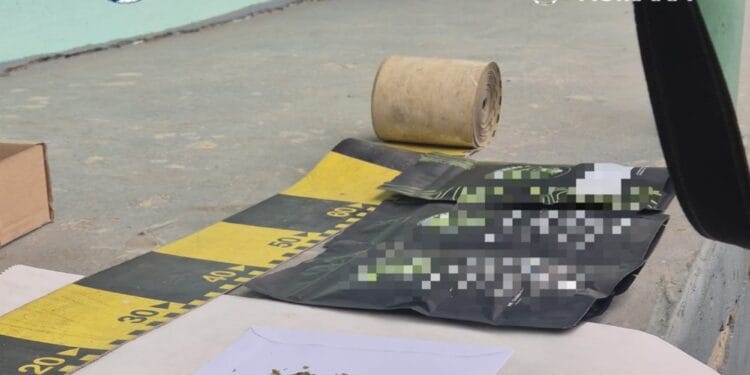 Colet cu canabis din Slovacia, ridicat de un bărbat! DIICOT a descoperit droguri ascunse și sub o movilă de gunoaie