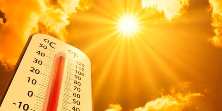 Alertă meteo! Un val de căldură fără precedent amenință continentul. Temperaturile pot urca până la 45 de grade