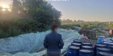 8 tone de varză murată, distruse de autorități! Produsele erau depozitate în gropi săpate în pământ!