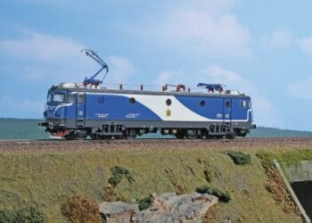 Sfârșit tragic pentru doi adolescenți! Au fost loviți mortal de o locomotivă de manevră
