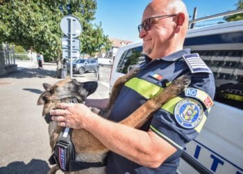 Polițistul care a amânat pensia pentru partenerul său cu patru lăbuțe. Hod poate găsi urme pe care nici tehnologia nu le detectează