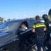 Acțiune de amploare. Amenzi, permise reținute și controale în trafic desfășurate simultan în mai multe județe