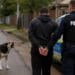 Bărbat reținut după ce un copil ar fi fost mușcat de un câine scăpat din curte