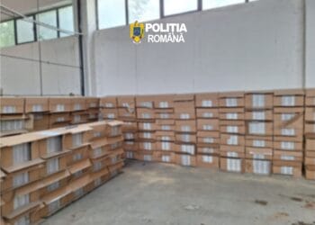 Captură uriașă de țigări! Peste 3,3 milioane de țigarete ascunse în pește congelat și cutii cu încălțăminte