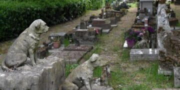 Primul cimitir pentru animalele de companie. Proiectul trebuie să respecte condiții stricte