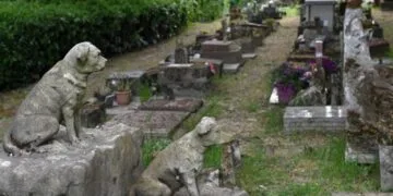 Primul cimitir pentru animalele de companie. Proiectul trebuie să respecte condiții stricte