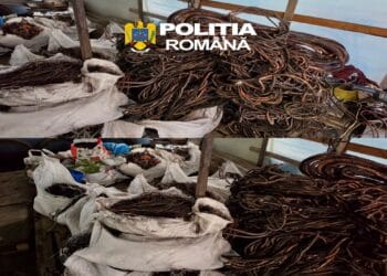 Descinderi într-un dosar de furturi din parcuri fotovoltaice. Mascații au intrat la nouă adrese