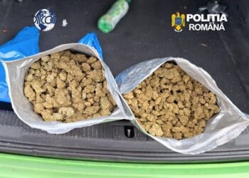 Flagrant! Tânăr de 21 de ani, prins cu 1,8 kilograme de canabis în mașină