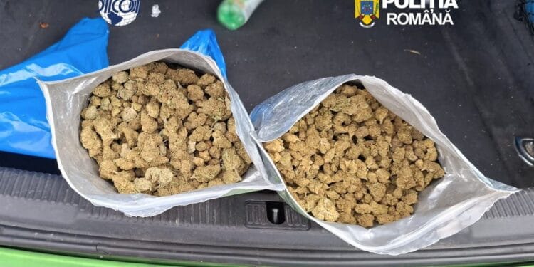 Flagrant! Tânăr de 21 de ani, prins cu 1,8 kilograme de canabis în mașină