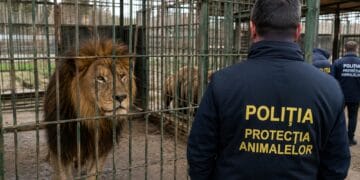 Descinderi la grădina zoologică ilegală! Urși, lei, maimuțe și alte animale sălbatice, în centrul unei anchete