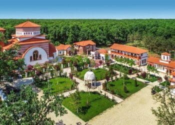 Mâna dreaptă a Sfântului Vasile cel Mare, adusă în premieră în România. Pelerinaj de șase zile!