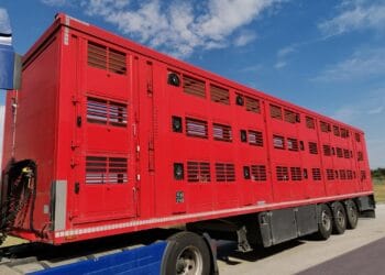 Operațiune de amploare! Peste 100 de polițiști, jandarmi și specialiști ANSVSA verifică transporturile de animale