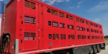 Operațiune de amploare! Peste 100 de polițiști, jandarmi și specialiști ANSVSA verifică transporturile de animale