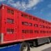 Operațiune de amploare! Peste 100 de polițiști, jandarmi și specialiști ANSVSA verifică transporturile de animale