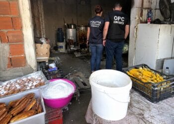 Mizerie, insecte și alimente pregătite în condiții insalubre! 40 de persoane, vizate de controale