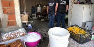 Mizerie, insecte și alimente pregătite în condiții insalubre! 40 de persoane, vizate de controale