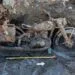 Dunărea s-a retras și a scos la lumină o motocicletă Wehrmacht. A stat ascunsă în nămol aproape 80 de ani