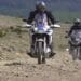 Tragedie în pădure! Un tânăr de 27 de ani a murit după ce s-a izbit cu motocicleta de un copac
