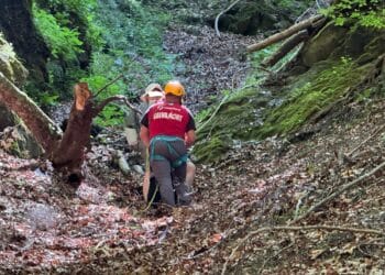 Dimineață de foc pentru Salvamont Argeș! Patru intervenții în doar câteva ore: turiști salvați cu elicopterul SMURD din Piatra Craiului și Vâlsan