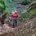 Dimineață de foc pentru Salvamont Argeș! Patru intervenții în doar câteva ore: turiști salvați cu elicopterul SMURD din Piatra Craiului și Vâlsan