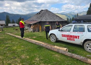 Cioban dispărut în munții din Argeș, găsit mort după două zile de căutări. Salvamontiștii au folosit dronă cu termoviziune și câinele Olaf