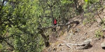 Final fericit după opt ore de căutări. O persoană dispărută a fost găsită și dusă la spital!