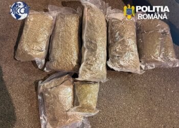 Flagrant cu peste 5 kilograme de canabis! Trei tineri au ajuns după gratii