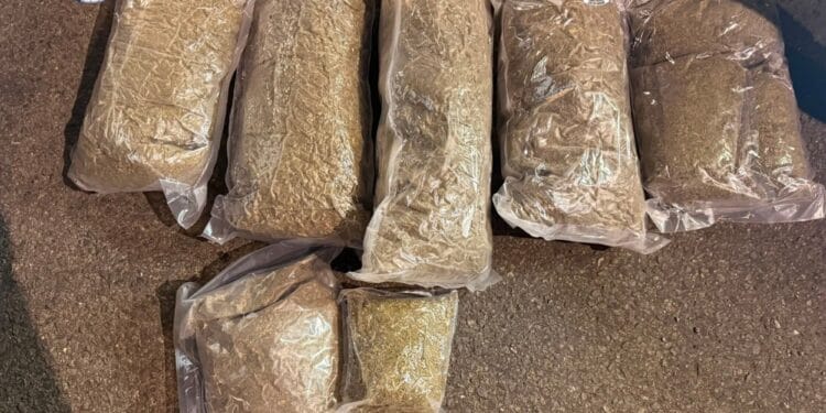 Flagrant cu peste 5 kilograme de canabis! Trei tineri au ajuns după gratii