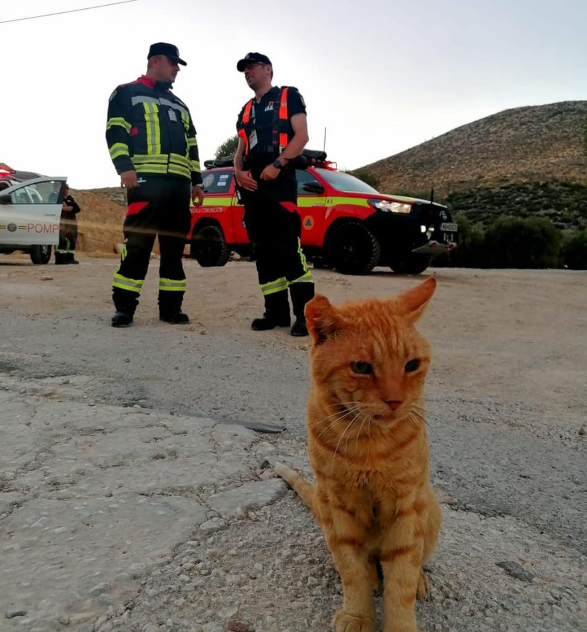 „Garfield” s-a alăturat pompierilor români aflați în misiune în Grecia. Motănelul a devenit mascota salvatorilor