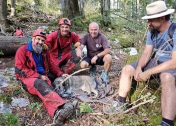 Câine căzut într-un aven adânc de zeci de metri, salvat de speologi! Animalul a fost tranchilizat pentru a putea fi scos