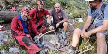 Câine căzut într-un aven adânc de zeci de metri, salvat de speologi! Animalul a fost tranchilizat pentru a putea fi scos
