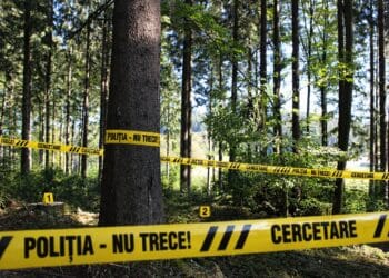 Bărbat găsit împușcat într-o pădure! Cunoscutul interlop este în comă profundă