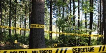 Bărbat găsit împușcat într-o pădure! Cunoscutul interlop este în comă profundă