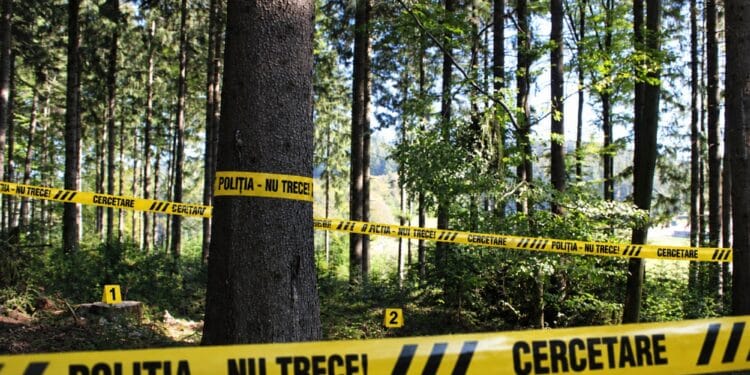 Bărbat găsit împușcat într-o pădure! Cunoscutul interlop este în comă profundă