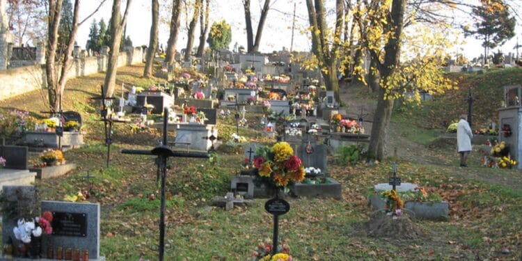 Descoperire macabră într-un cimitir! Oseminte găsite într-o groapă, Poliția a deschis dosar penal