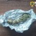Cocaină și canabis vândute cu până la 1.300 de lei tranzacția. Doi tineri au ajuns după gratii