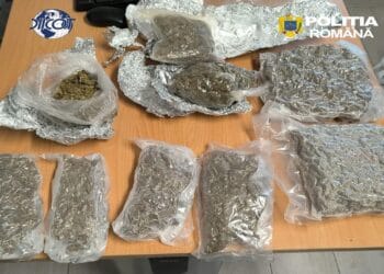 Prins în flagrant cu 1,7 kilograme de canabis ascunse într-o autoutilitară. Bărbat de 36 de ani, arestat