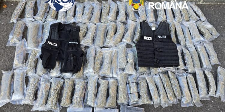 Captură uriașă de droguri! Cocaină și canabis, ascunse într-un compartiment secret al unei mașini