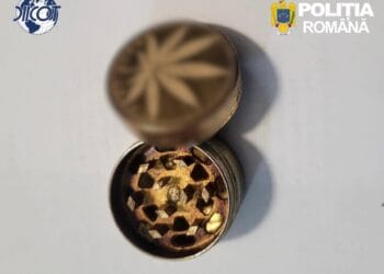 Șase persoane, arestate într-un dosar de droguri. Peste 230 de doze și zeci de mii de lei, ridicate la percheziții