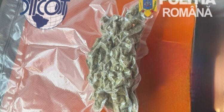 Prins în tren cu 100 de grame de canabis. Tânăr de 28 de ani, arestat pentru trafic de droguri
