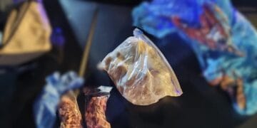 Peste 190 de comprimate ecstasy și jumătate de kilogram de substanțe psihoactive, descoperite de polițiști. Trei bărbați au fost arestați